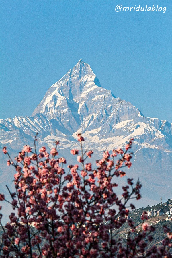 Mt Fishtal at Pokhara