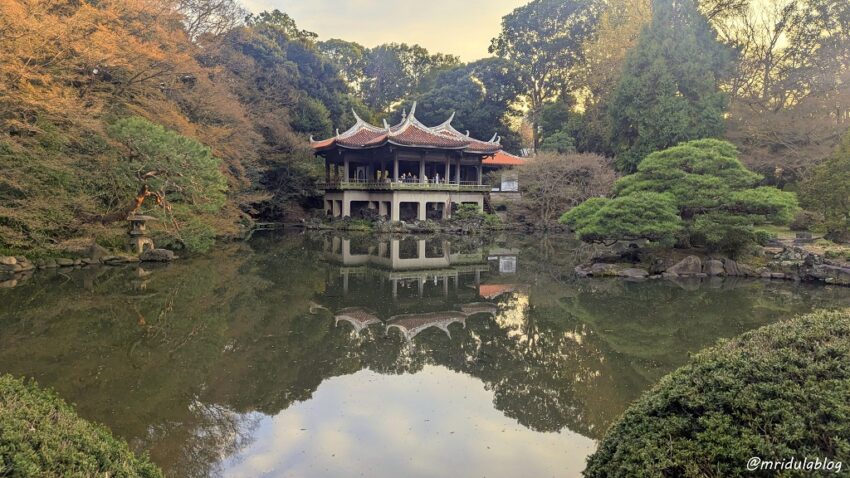 Shinjuku Gyoen in Tokyo, Japan