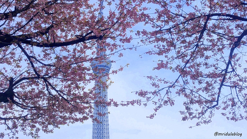 Sumida River Walk, Tokyo